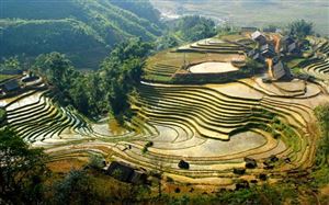 Terraced rice fields in Sa Pa, Lào Cai Province. The destination is suitable for tourists from Hà Nội on short holidays.