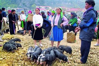 Bac Ha market