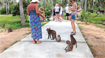 Phu Nha - Monkey island