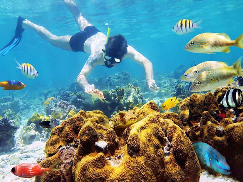 coral reef in sihanoukville